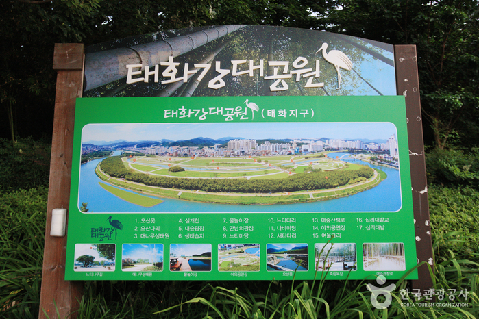 Taehwagang Grand Park (태화강 대공원)