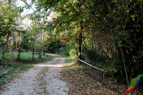Borinara Hagwon Farm (보리나라 학원농장)