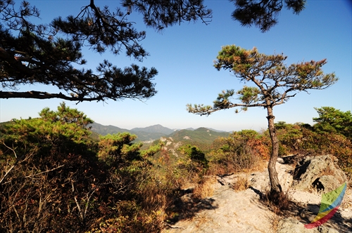 선운산도립공원 사진14