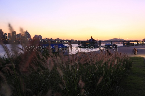 한강시민공원 뚝섬지구(뚝섬한강공원)5