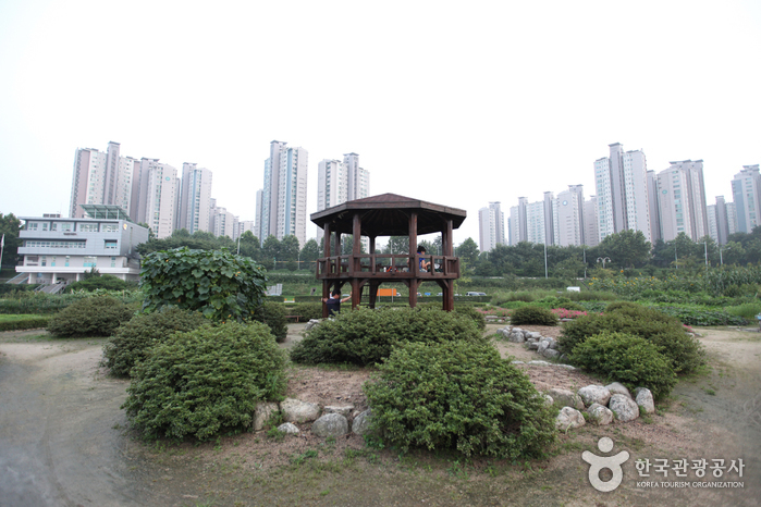 Parque Jamsil del Río Hangang (잠실한강공원)