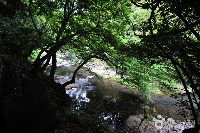 Andeokgyegok Valley (안덕계곡)0