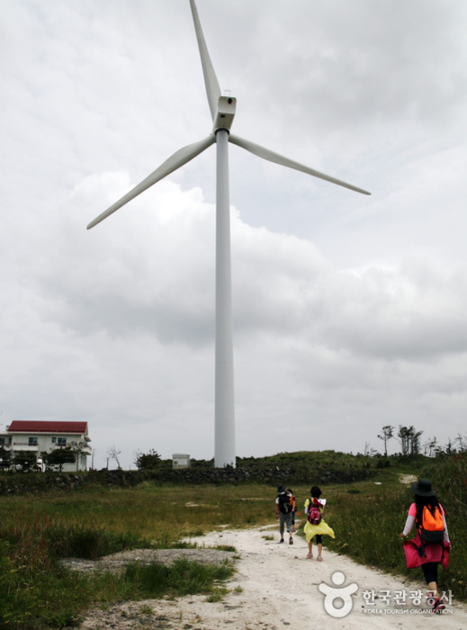 [제주올레 20코스] 김녕-하도 올레5