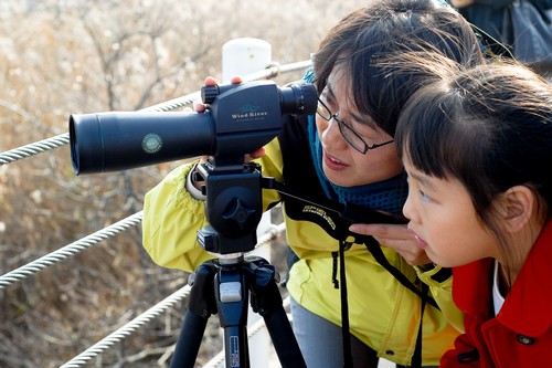 Gunsan International Migratory Bird Festival (군산세계철새축제)