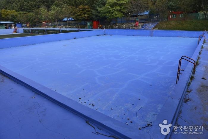 龙仁休闲体育室外游泳池（용인레저스포츠 야외수영장）