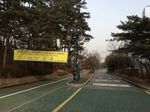 서울_영등포_여의도공원01