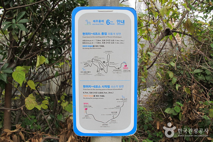 [제주올레 6코스] 쇠소깍-서귀포 올레0