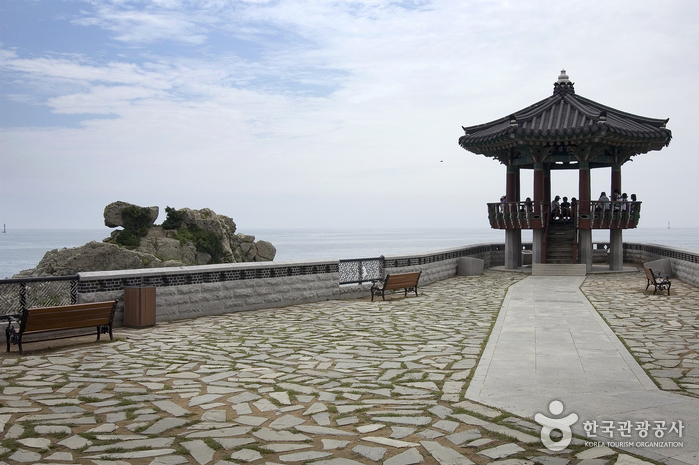 송정 죽도공원2
