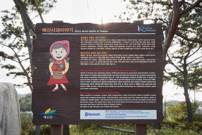 한국문화정보원_예산 알토란사과마을 3