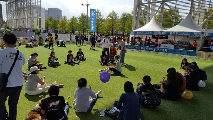 동물보호문화축제 20191