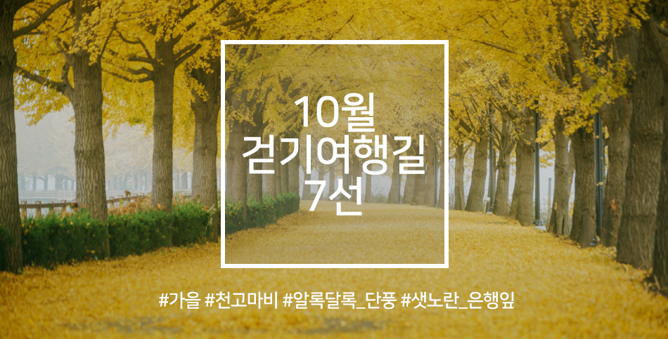 여행길 이미지