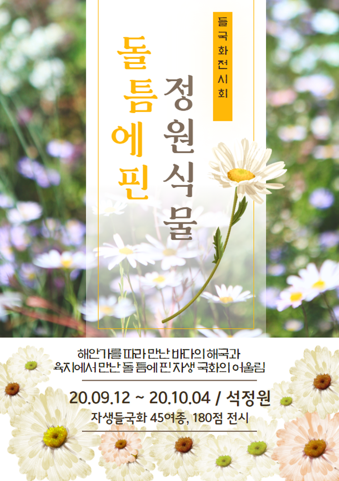 아침고요수목원 들국화전시회5