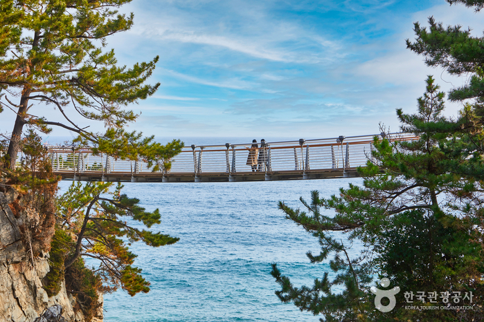 삼양라운드힐 (구, 대관령 삼양목장)3