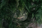 테라리움 3F_SUMSEI Forest 2