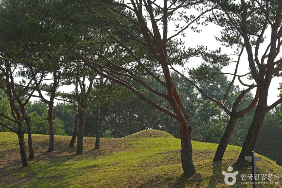 부여 능안골 고분군