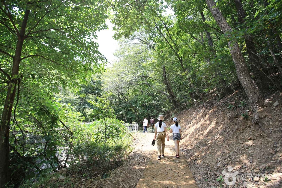 경기_용인_영농조합 장촌마을 (13)