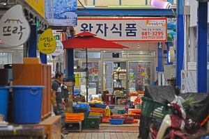 고성_고성 간성시장 (2, 7일) (5)