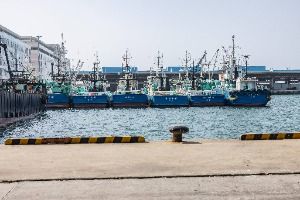 부산_부산 국제수산물도매시장 (5)