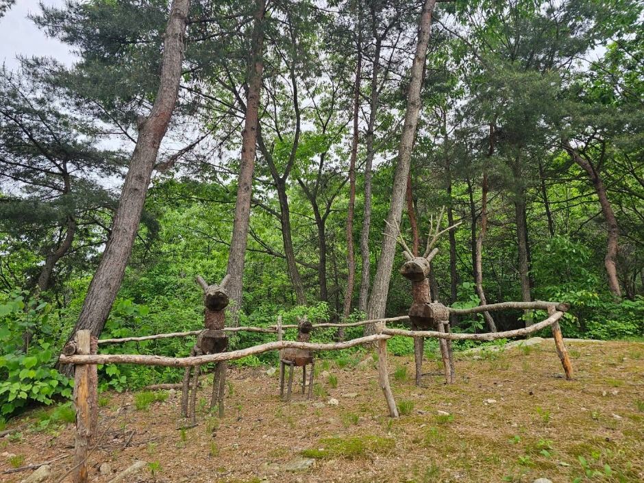 천보산 자연휴양림