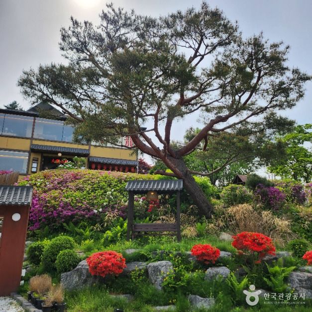 춘천_대룡산장 (2)