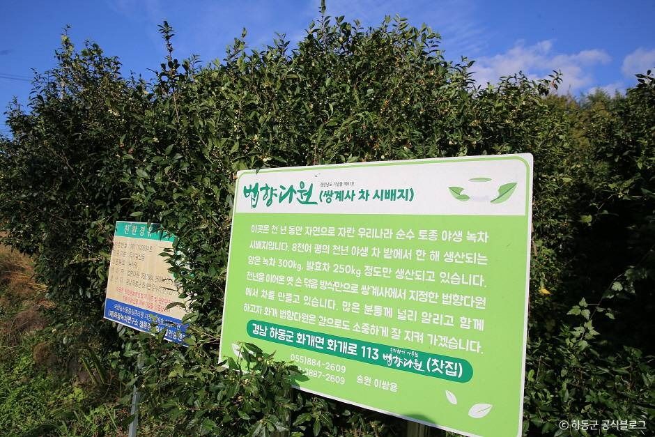 쌍계사차나무시배지