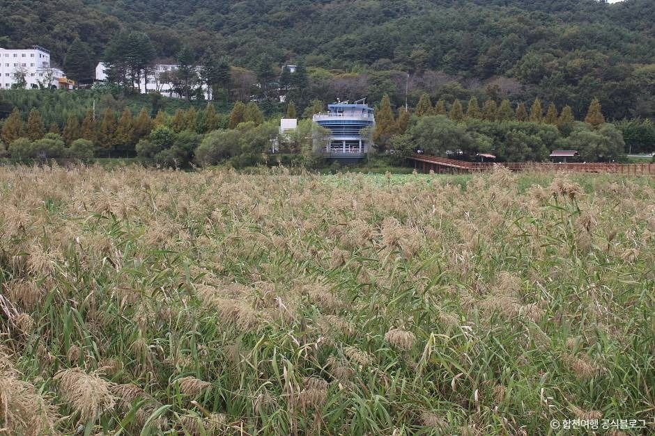 정양늪생태공원