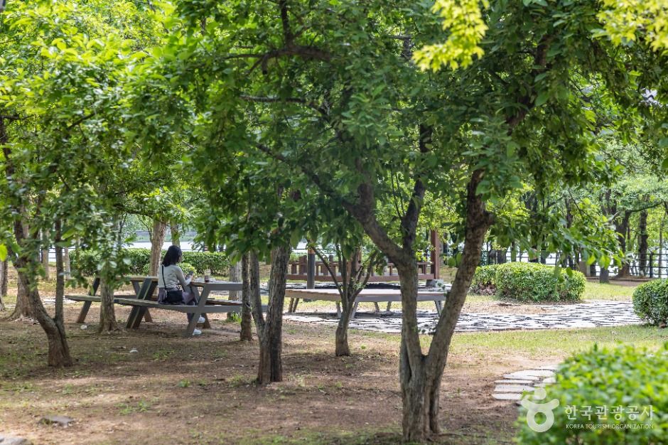 thumbnail-五松湖公園(오송호수공원)-10