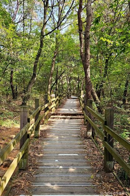 미륵산(익산)