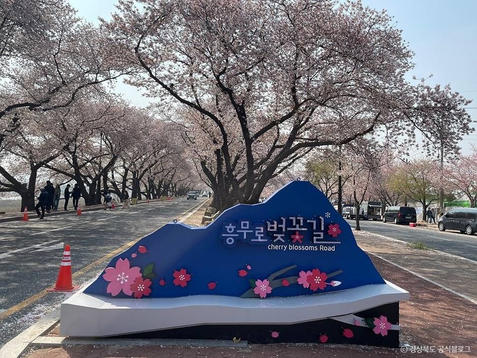 흥무로 벚꽃길