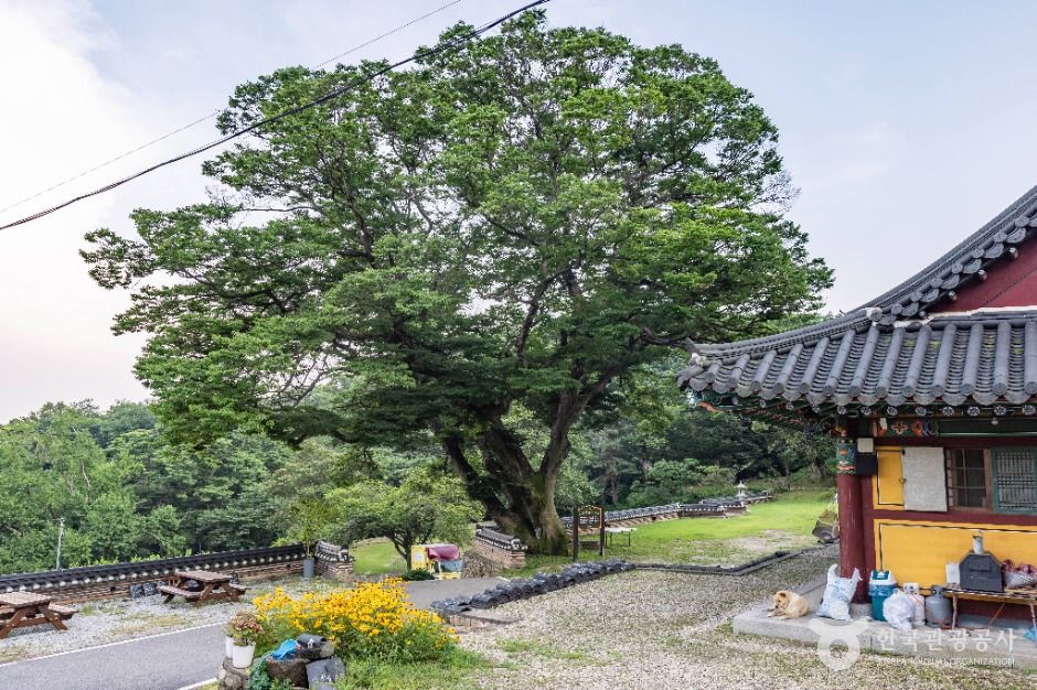 청련사(강화)