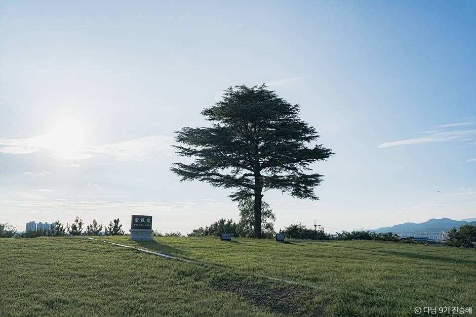 thumbnail-경산 임당동과 조영동 고분군-17