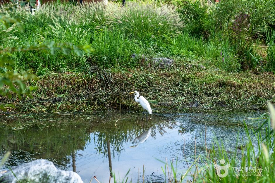 탄천민물고기습지생태원