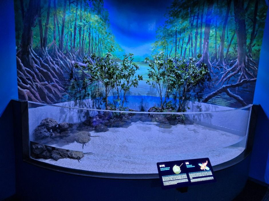 단양 다누리아쿠아리움