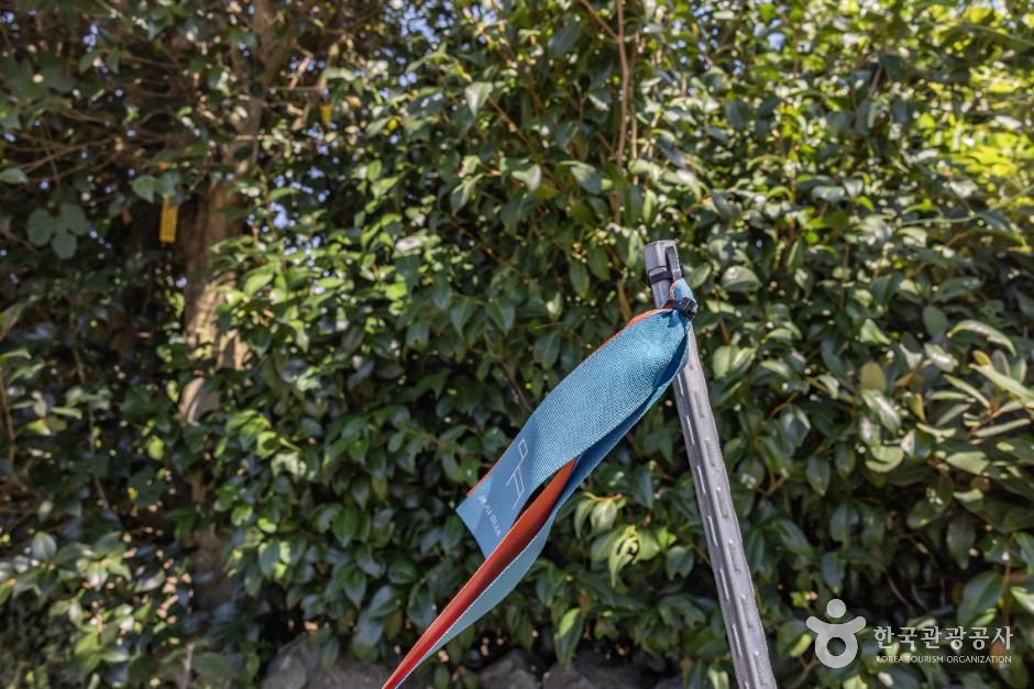 위미동백나무군락