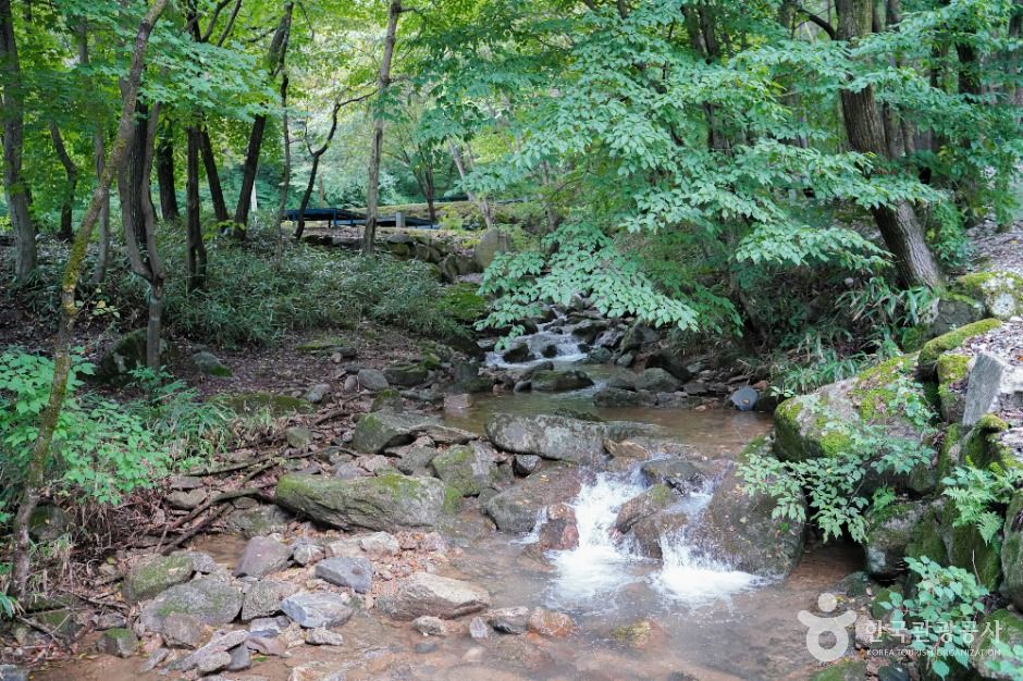 thumbnail-와룡자연휴양림-2