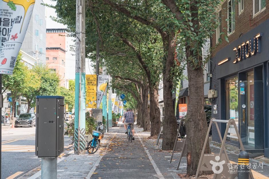 천호자전거거리