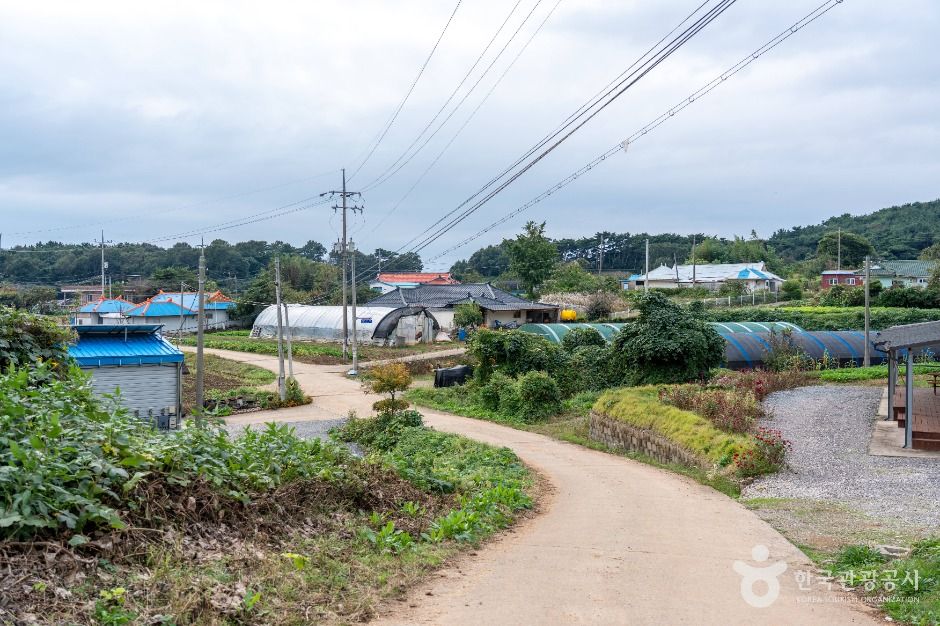 충남 서산빛들마을