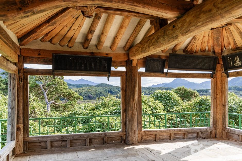 괴산 고산정 및 제월대