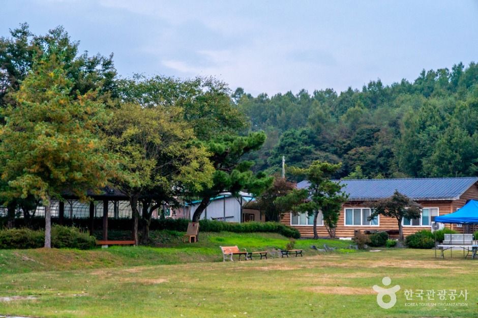 교촌농촌체험학교