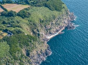 울릉_죽도(울릉) (2)