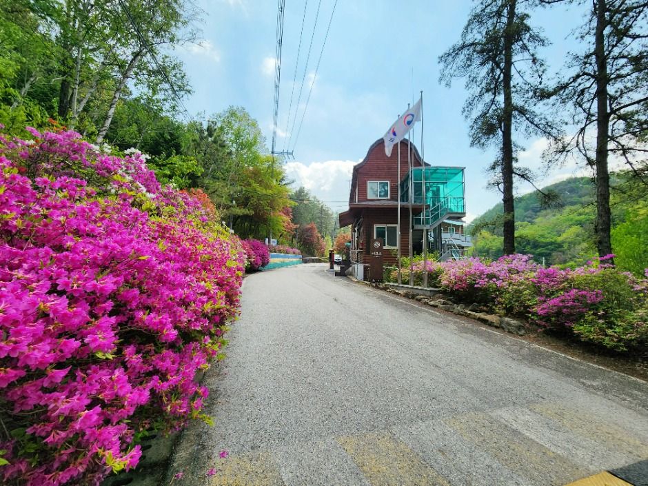 국립속리산말티재자연휴양림