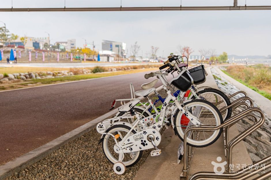 양양_연어 자전거길 (6)