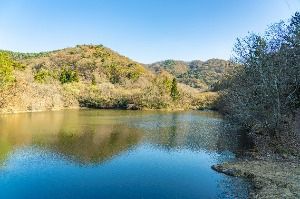 화순_세량지 (6)