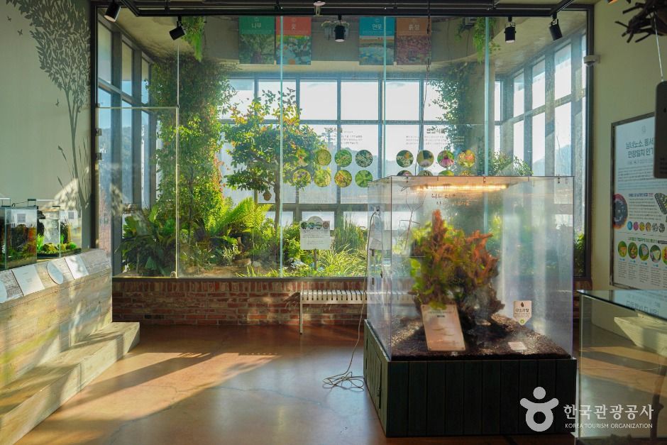 용인 곤충테마파크