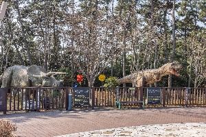 부산_송도스카이파크 (12)