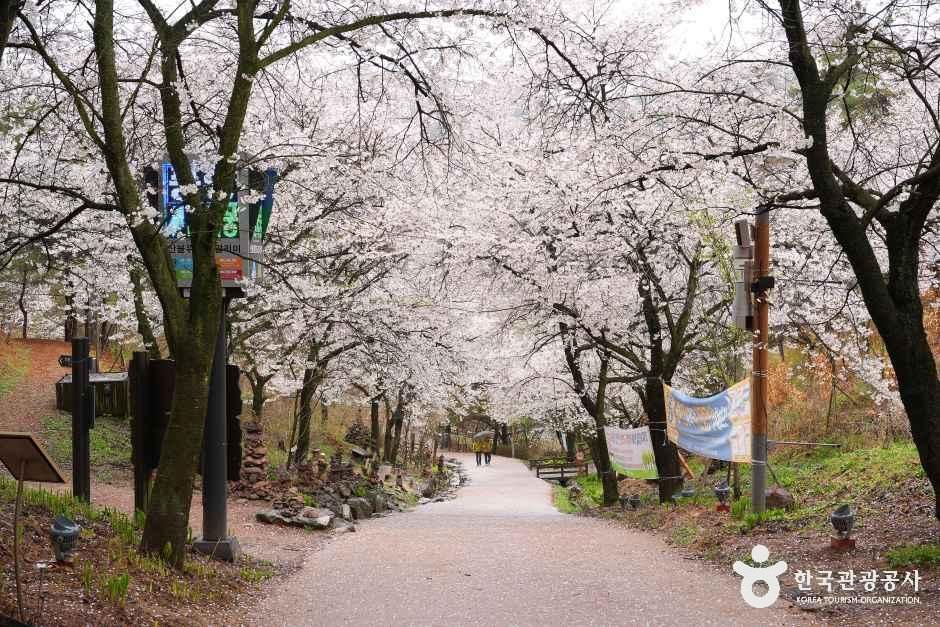 thumbnail-초평호 미르309 출렁다리-10