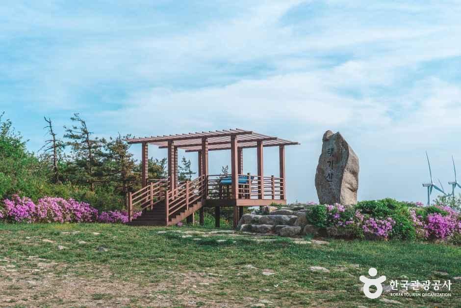 thumbnail-태기산-12