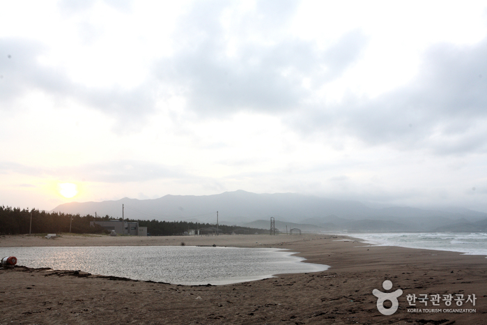 Daejin Beach (대진해수욕장)
