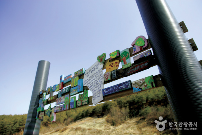 강릉 복사꽃축제 20193