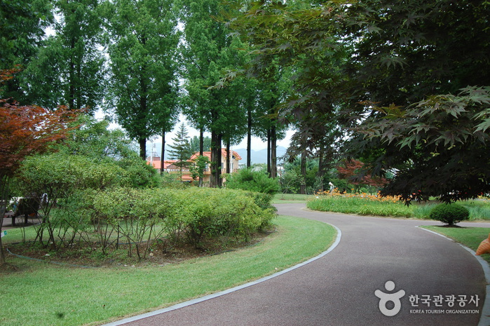 Gangwon-do Provincial Flower Garden (강원도립화목원)